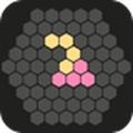Hex Puzzle
